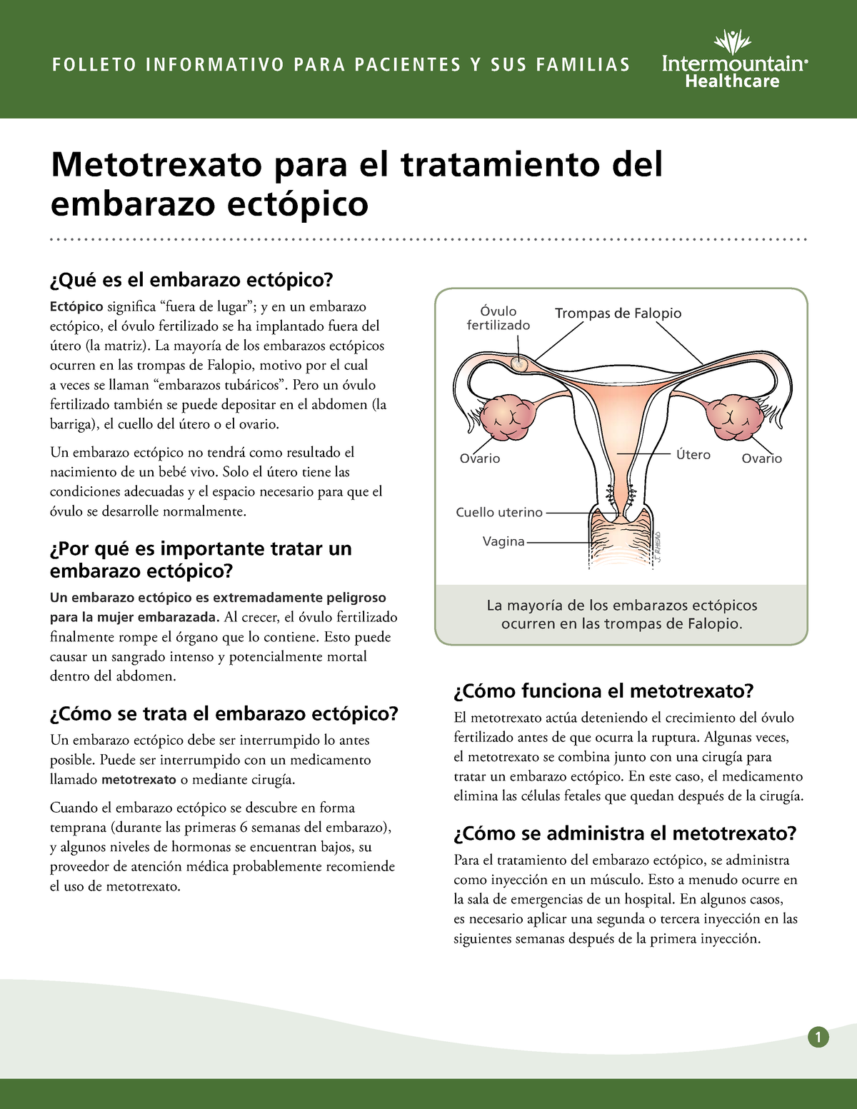 methotrexate-to-treat-ectopic-pregnancy-fact-sheet-spanish-f-o-l-l-e