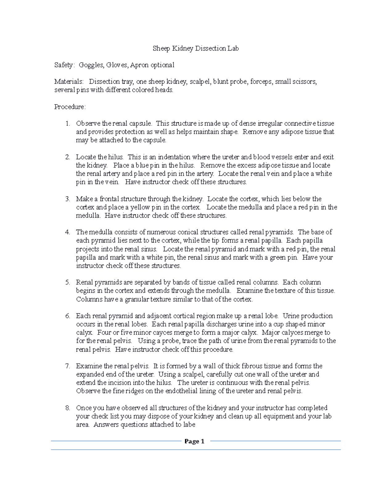 Ch 15 Sheep Kidney Dissection Lab Sheep Kidney Dissection Lab Safety