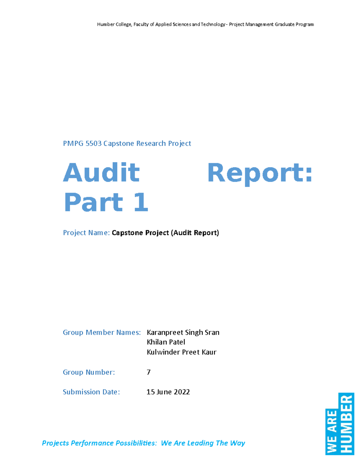 Audit Report - Part 1 - Group #7 (RNB) - PMPG 5503 Capstone Research ...