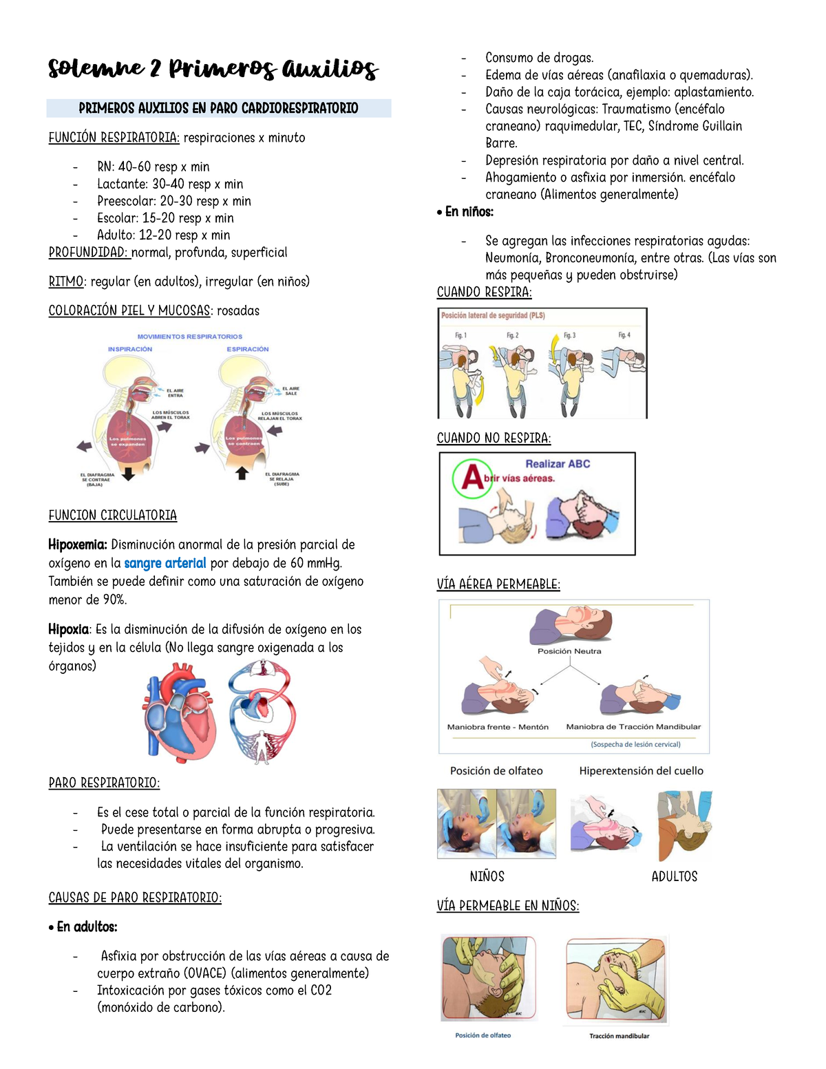 Primeros Auxilios Solemne 2 PDF - Solemne 2 Primeros Auxilios PRIMEROS ...