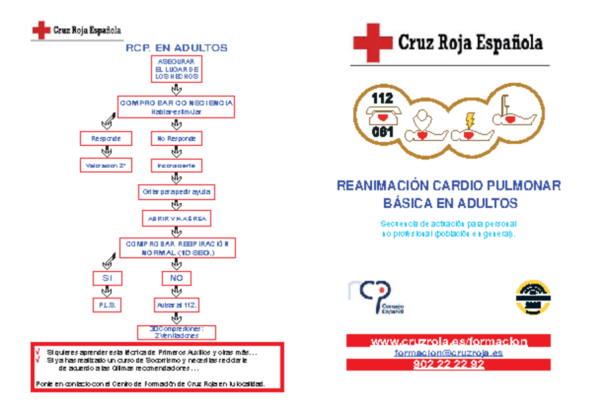 Diptico RCP - RCP - REANIMACIÓN CARDIO PULMONAR BÁSICA EN ADULTOS ...