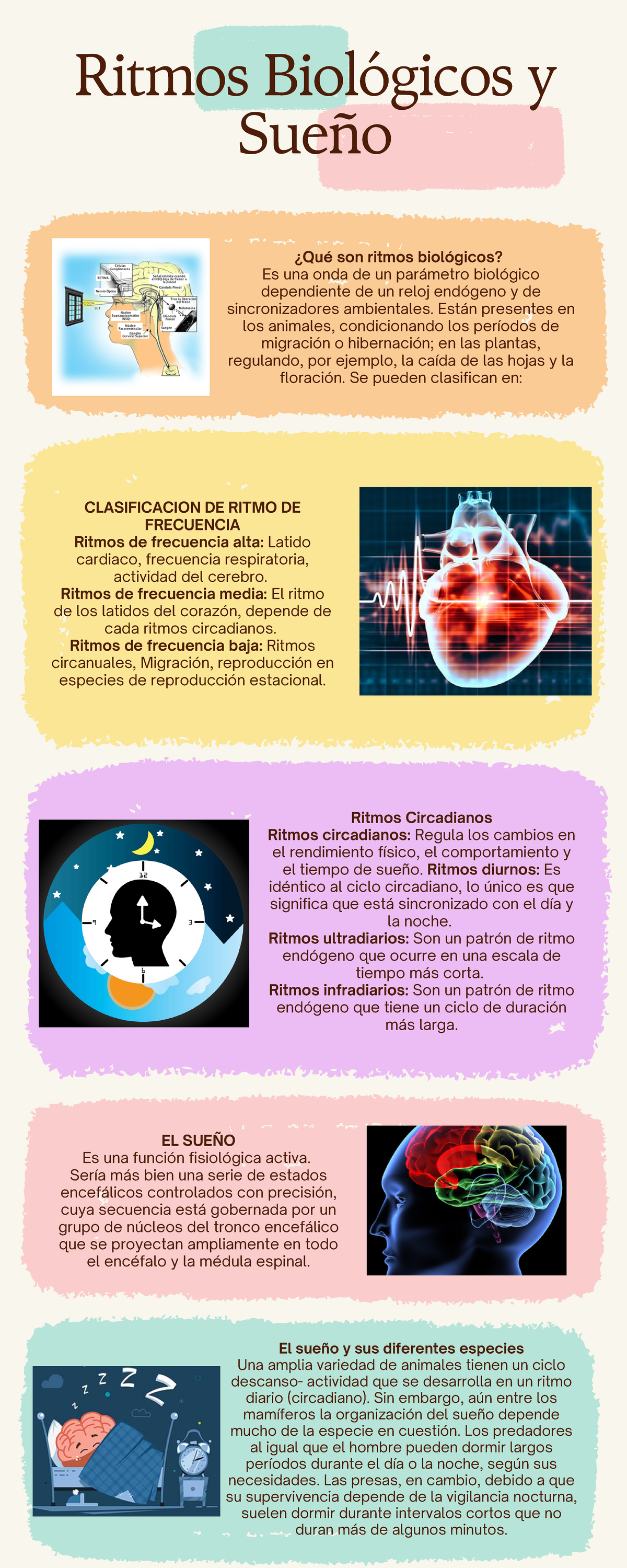 Ritmos biologicos las corrientes de online la vida y la experiencia consciente