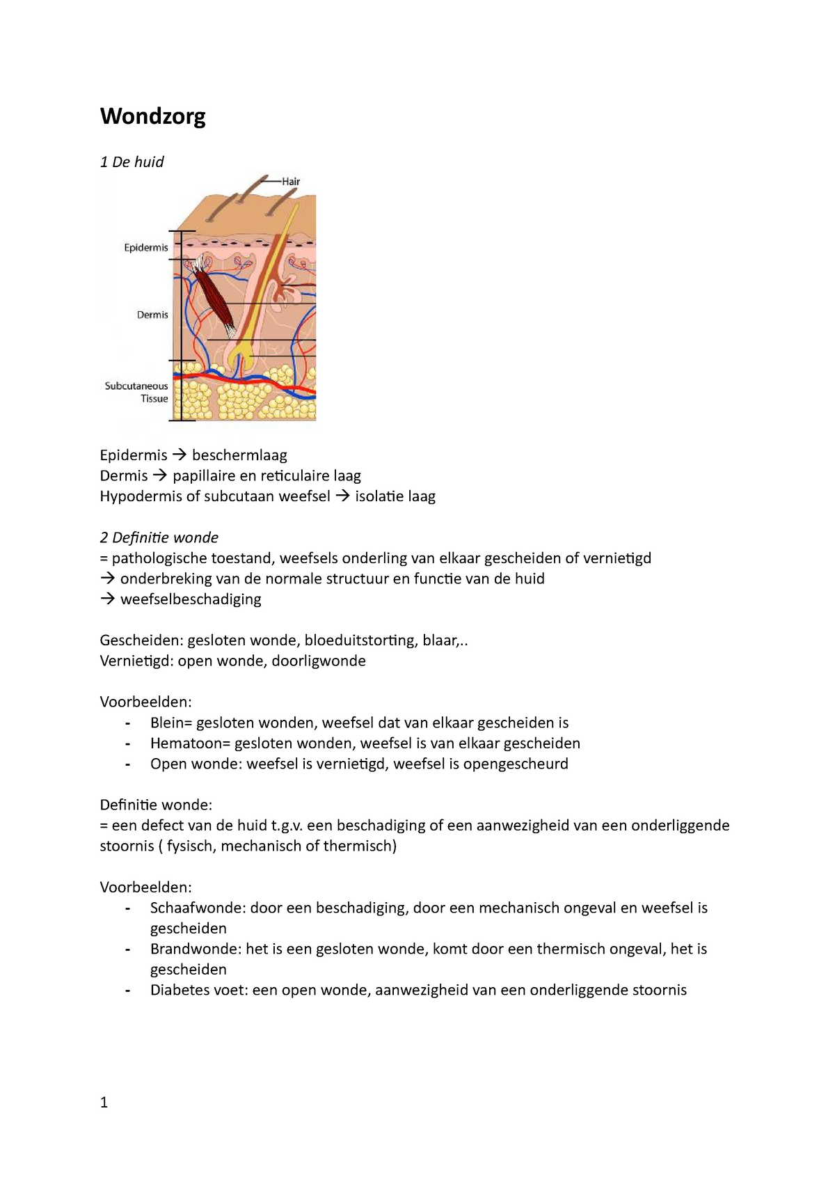 Wondzorg 1V - Samenvatting Van De Ppt - Wondzorg 1 De Huid Epidermis ...