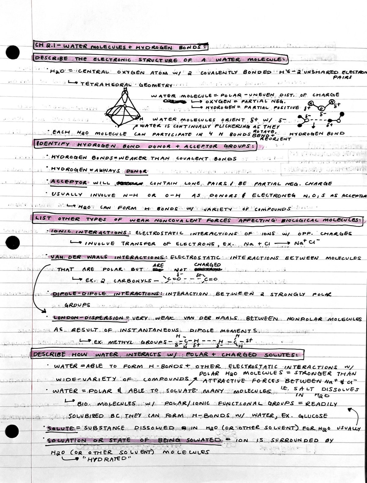 UNL BIOC 401 CH 2 NOTES - | S-CENTRAL OXYGEN. ATOM. ws) 2 ‘COVALENTLY ...