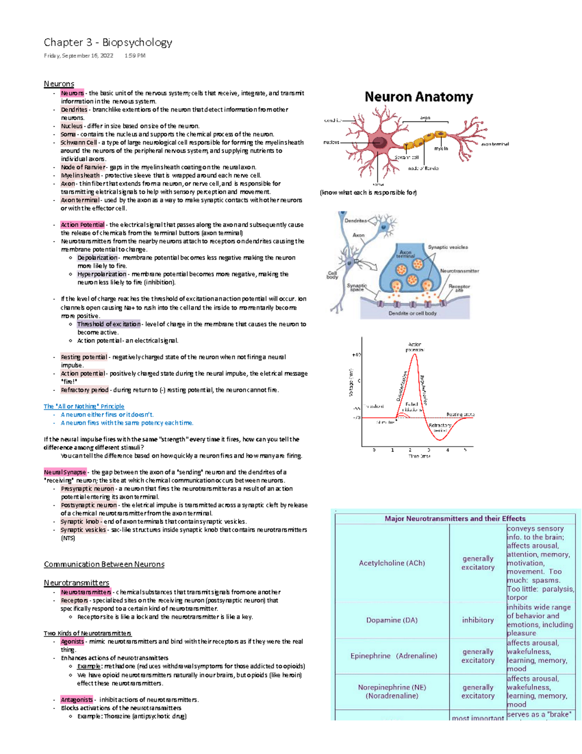 Chapter 3 - Biopsychology - Neurons Neurons - the basic unit of the ...