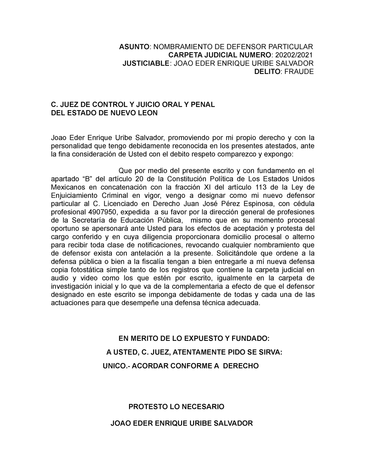 Nombramiento Ensayos Asunto Nombramiento De Defensor Particular