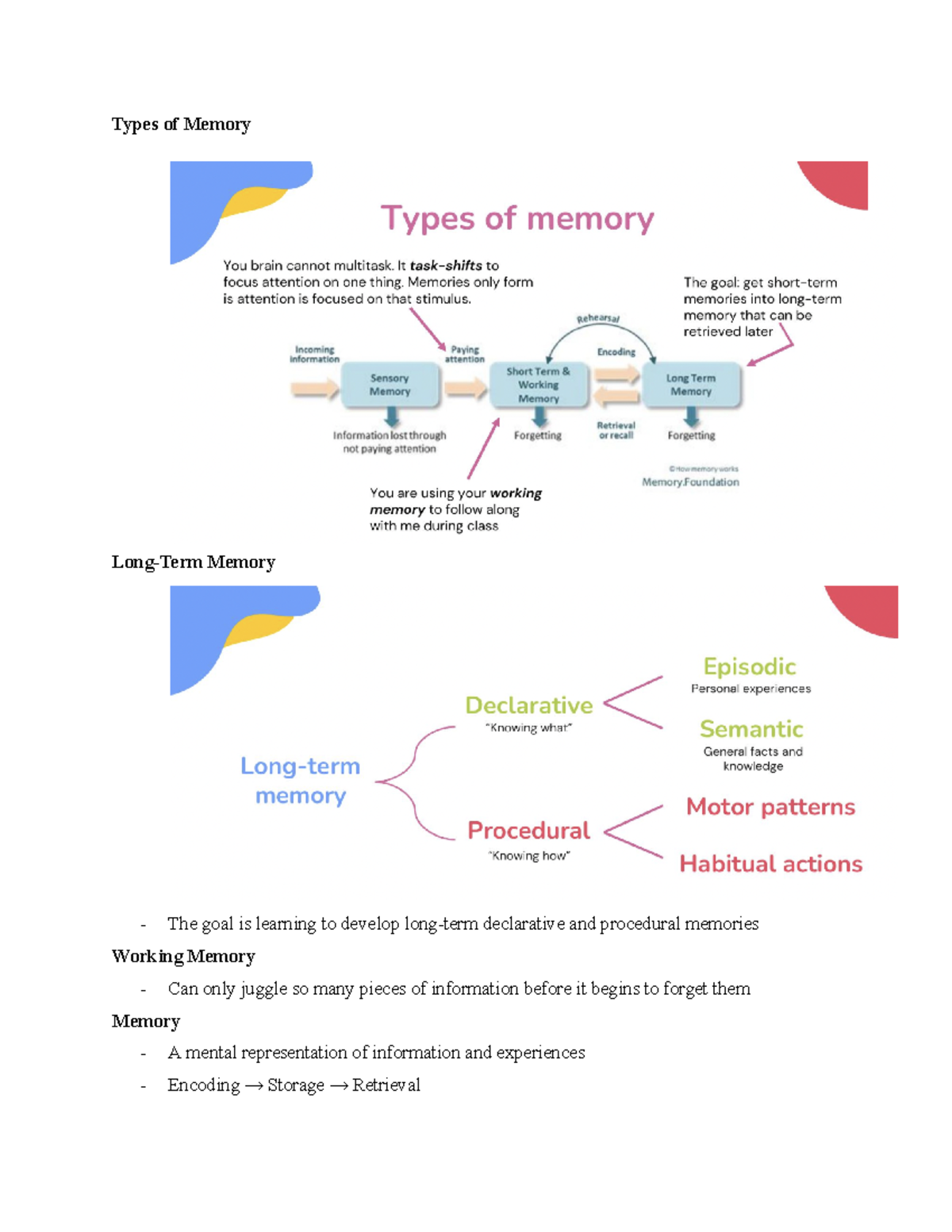 Intro to Neuroscience 2025 Types of Memory LongTerm Memory The goal