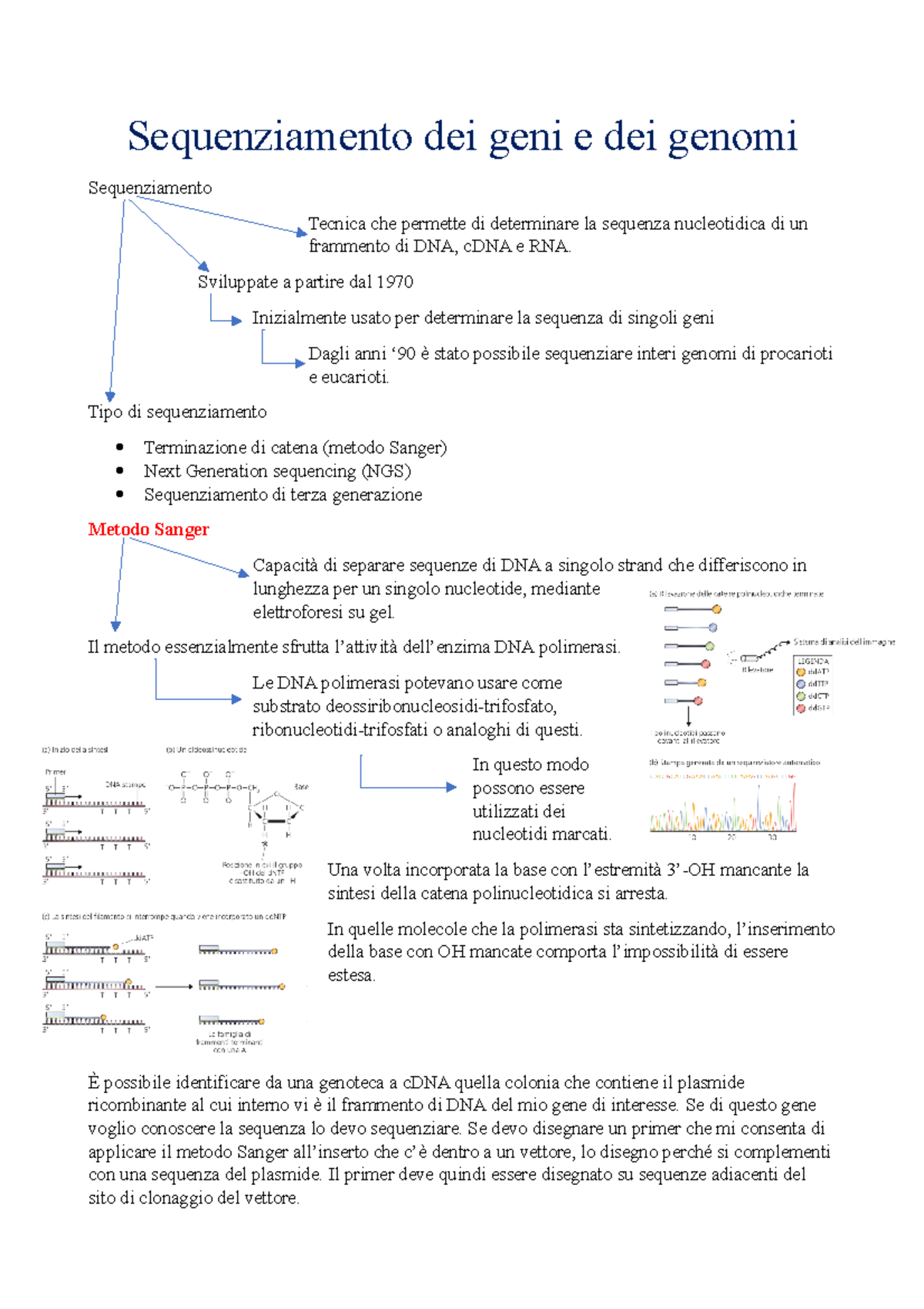 Lezione 4 - appunti - Sequenziamento dei geni e dei genomi ...