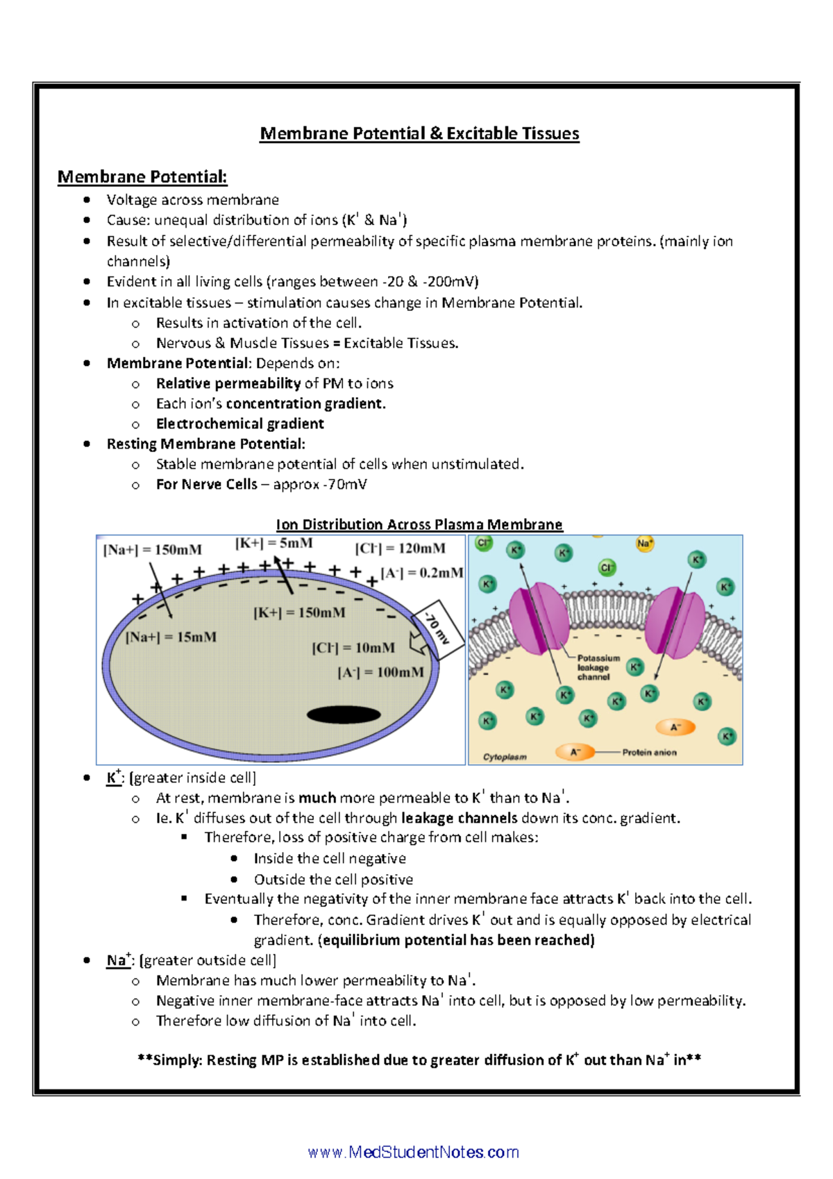 BIOL - 14. Membrane Action Potentials (5p) - 101DLB05 - Cégep de ...