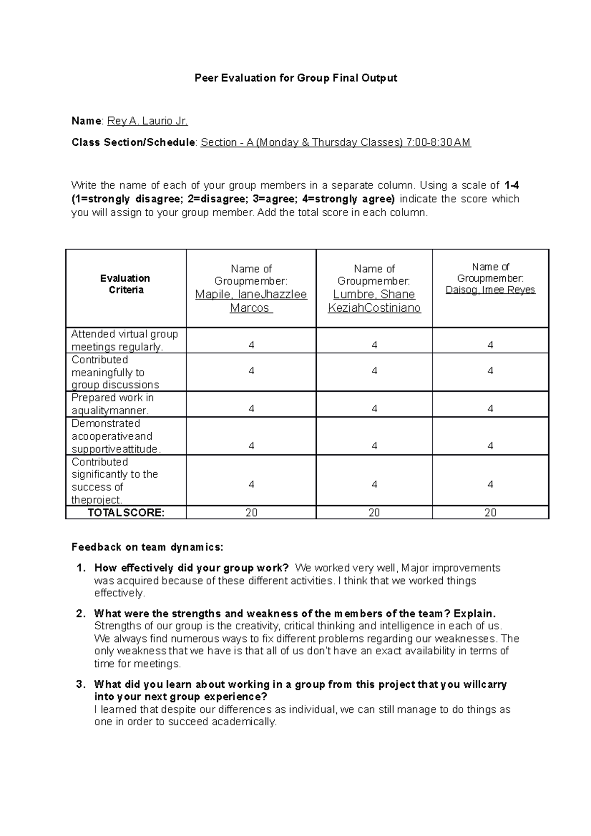 Laurio Peer-Evaluation-for-Group-Final-Output - Peer Evaluation for ...