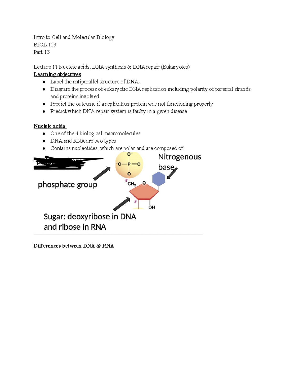 Intro To Cell And Molecular Bio 113 Lecture Notes Part 13 - Dr. Sarah ...