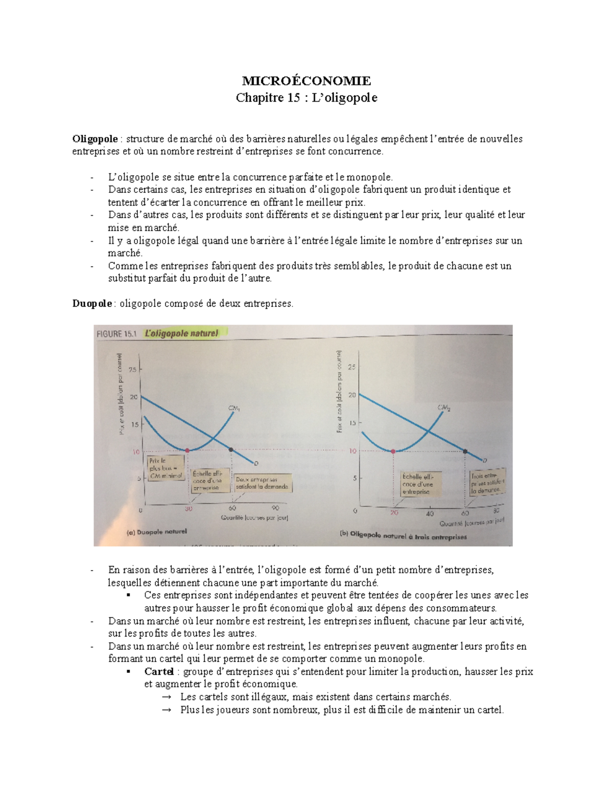 Dissertation sur le monopole et l oligopole 03 picture