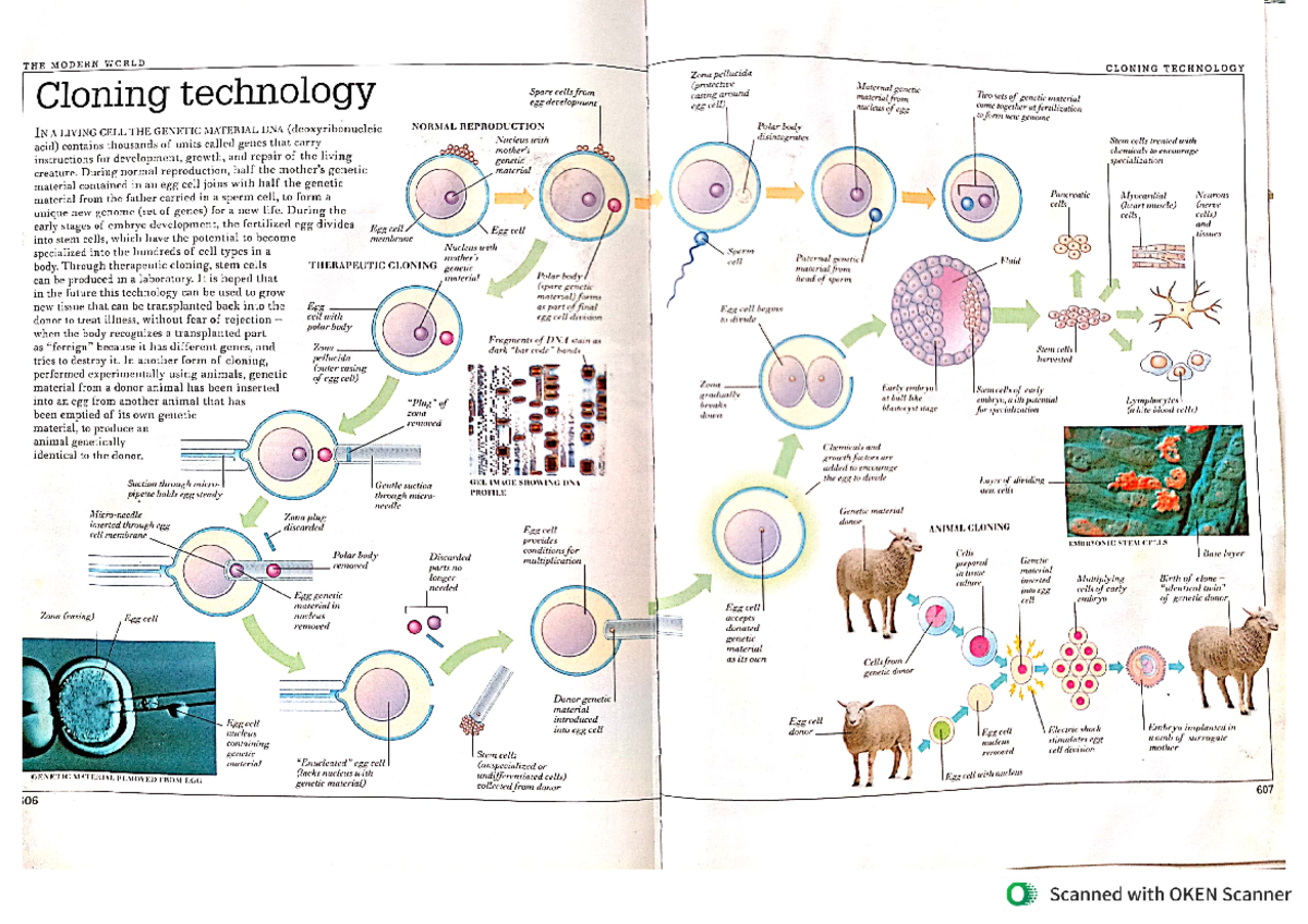 Cloning technology - Its a study material - Cbse zoology class 12 - Studocu