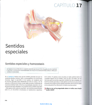 Circuitos Secuencias Basicos FLIP FLOP - CIRCUITOS SECUENCIAS BASICOS ...