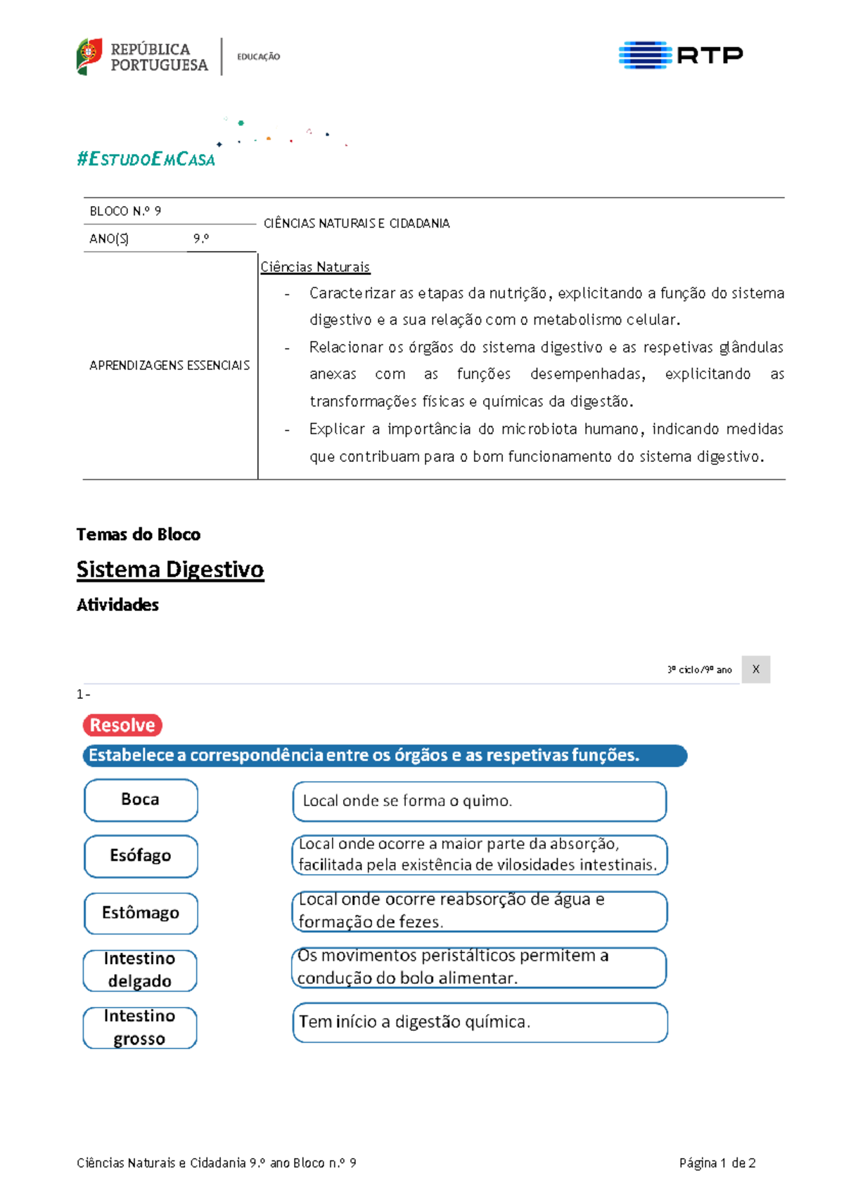 09 Ciências Naturais E Cidadania 9º Ano Sistema Digestivo - Ciências ...