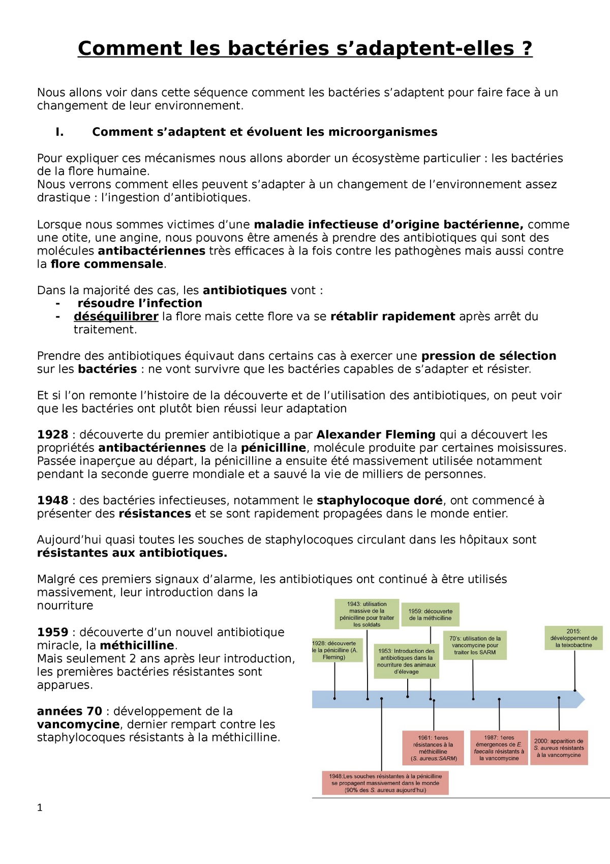 Comment Les Bactéries S'adaptent Elle - Comment Les Bactéries S ...