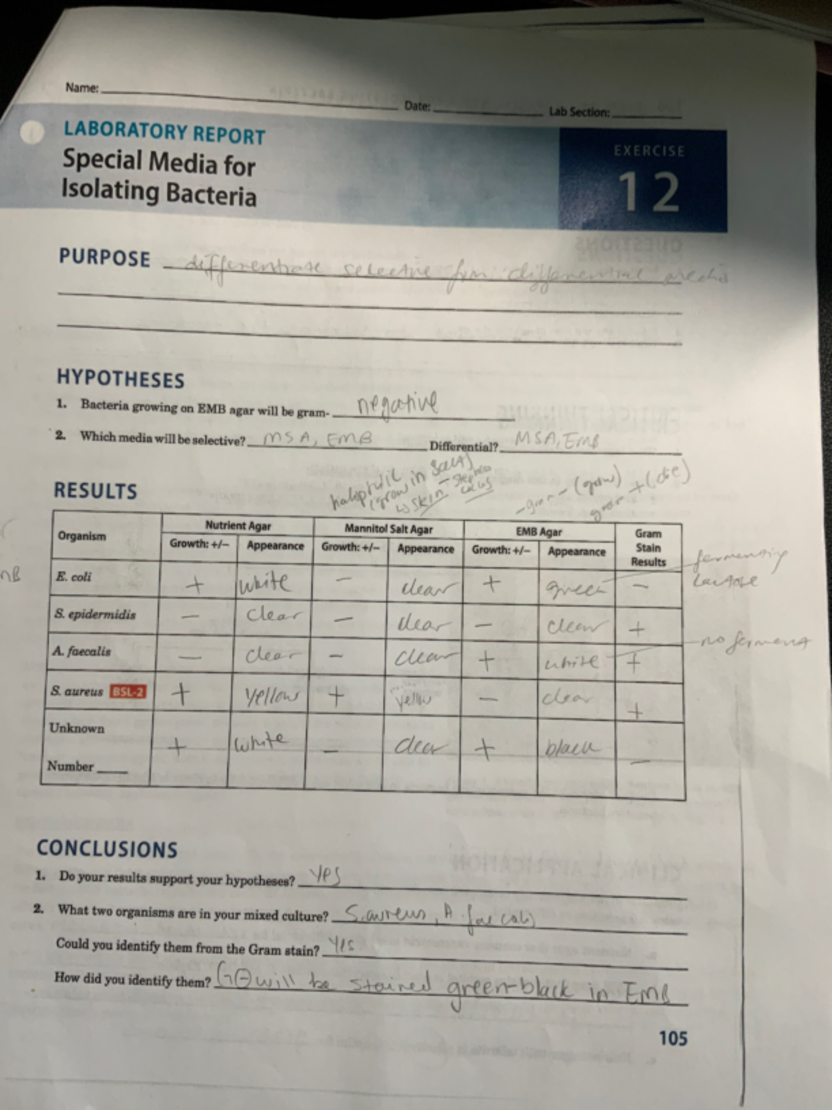 labratory report exercise 12 answers - Name: Date: Lab Section ...