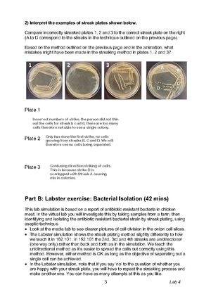 Chem all Post Lab Questions - Experiment 1 - 1 POST-LAB QUESTIONS Name ...