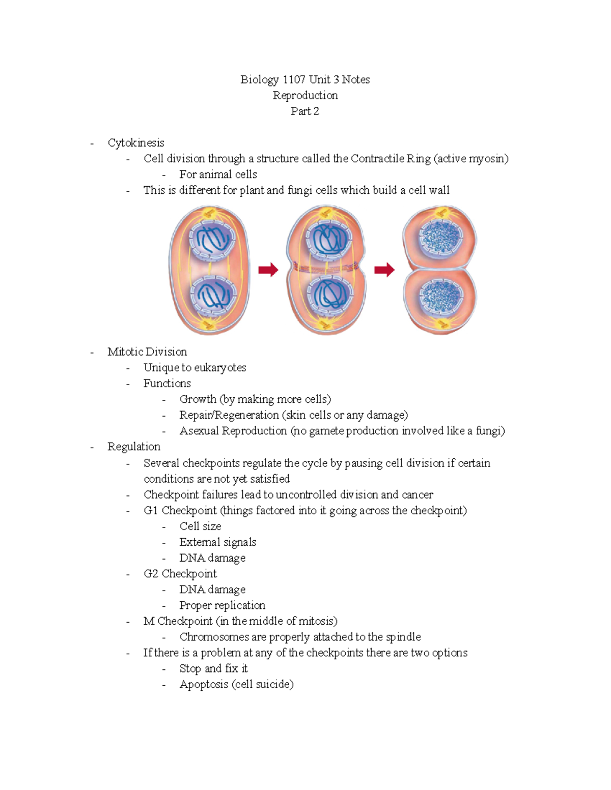 Biology 1107 Unit 3 Notes Part 2 - Biology 1107 Unit 3 Notes ...