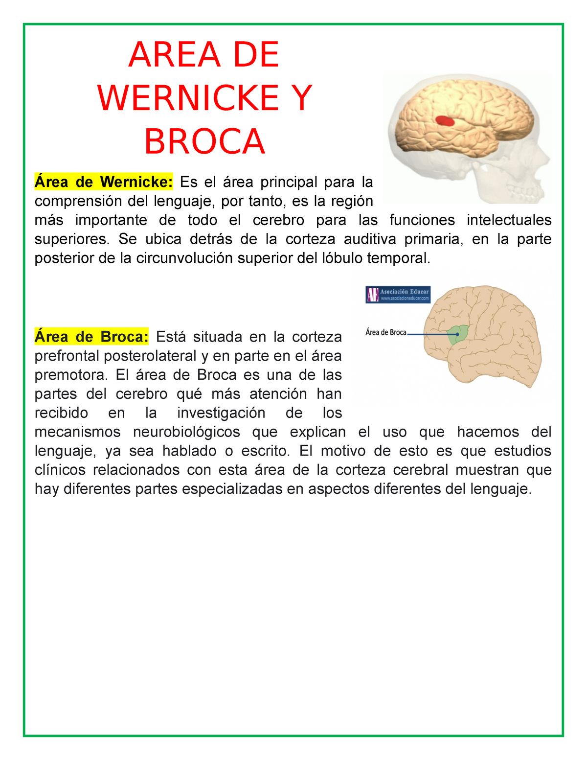 AREA DE Wernicke Y Broca - AREA DE WERNICKE Y BROCA Área De Wernicke ...