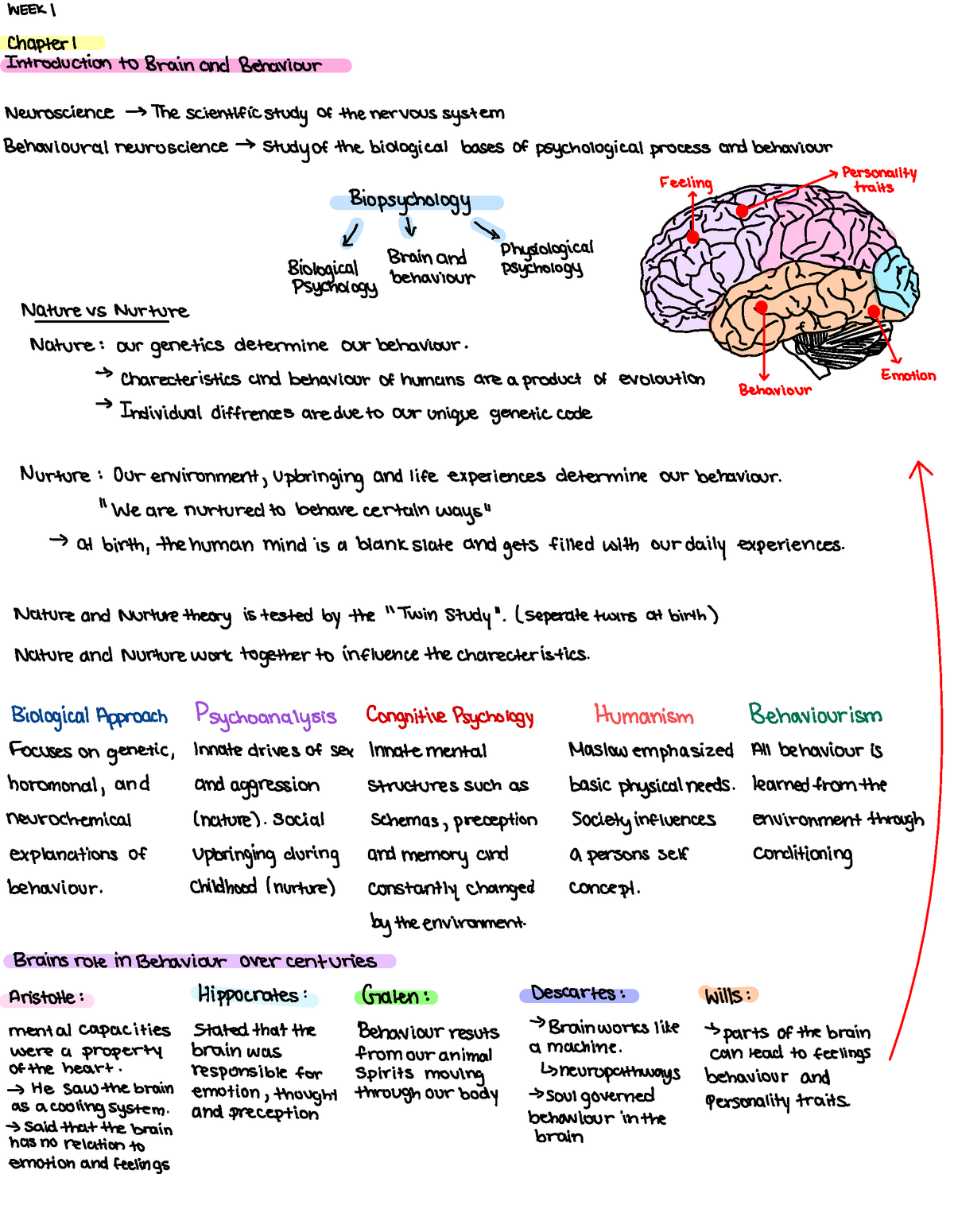 Brain And Behaviour - Lecture 1 - WEEKI Chapter I Introductionto Brain ...