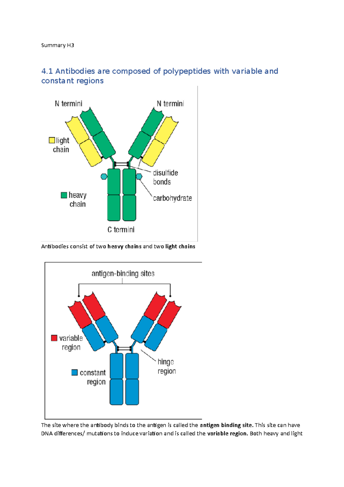 H4 Hoofdstuk 4 the immune system peter parham Summary H 4 Antibodies are composed of