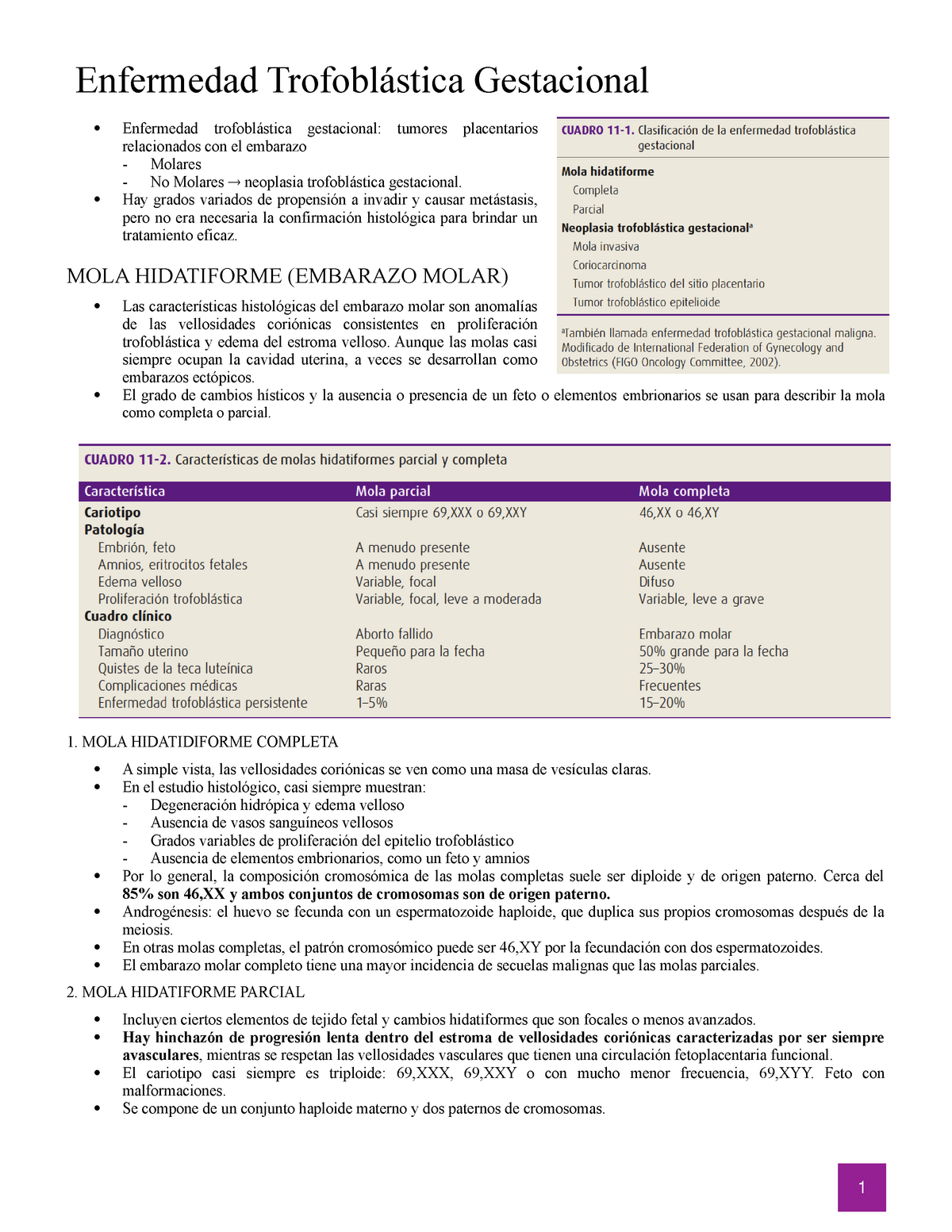 Enfermedad Trofoblástica Gestacional - Enfermedad Gestacional ...