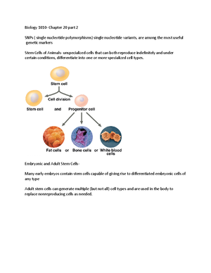 BIO 1010 Exam 4 Study Guide - Chapter 17 : Gene Expression- From Gene ...