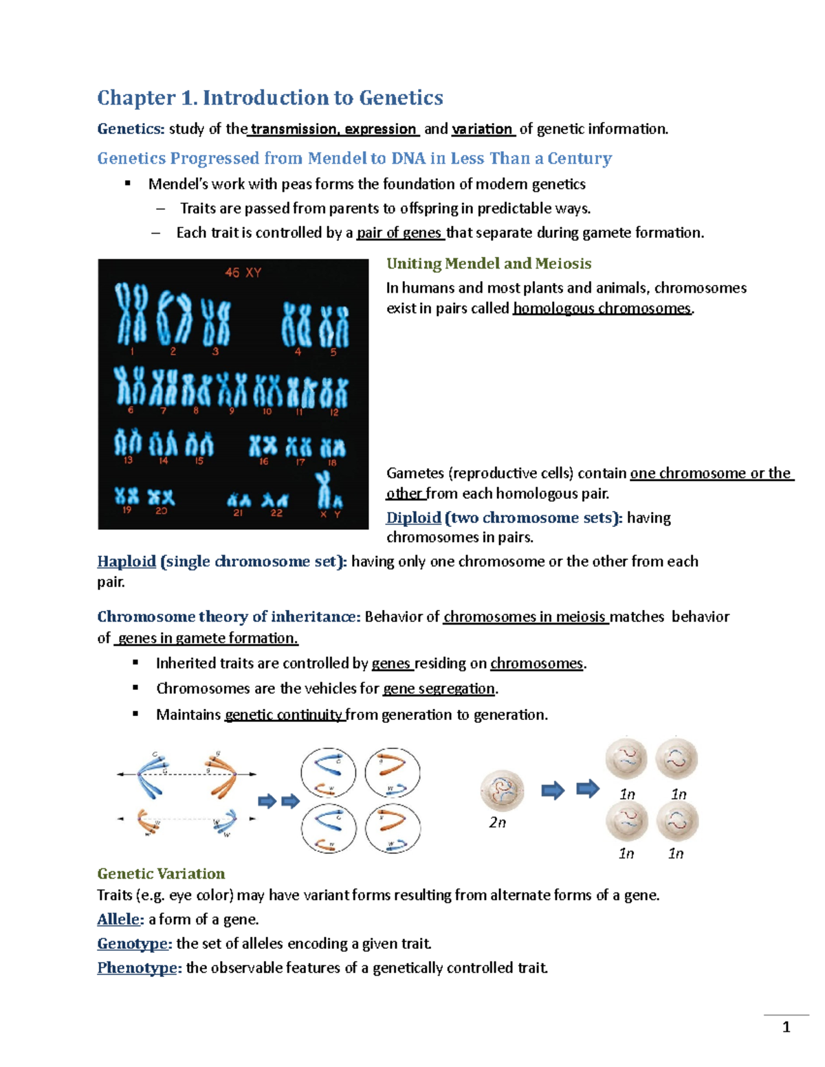 assignment 1.1 introduction to genetics