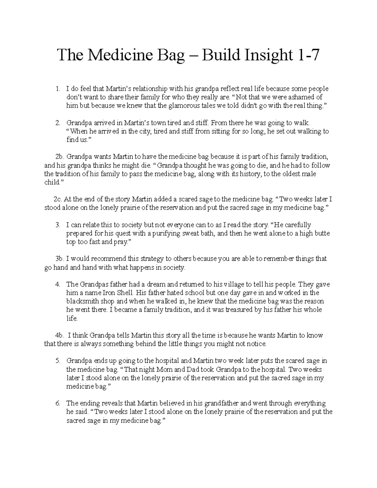 essay on the medicine bag