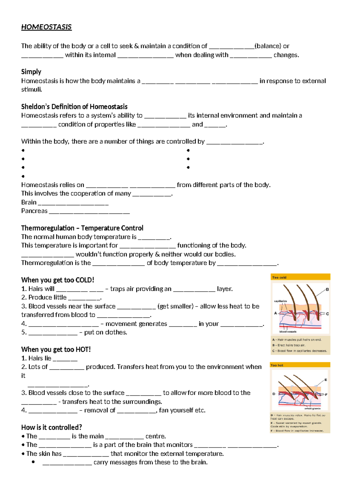 1. Homeostasis Notes - HOMEOSTASIS The ability of the body or a cell to ...