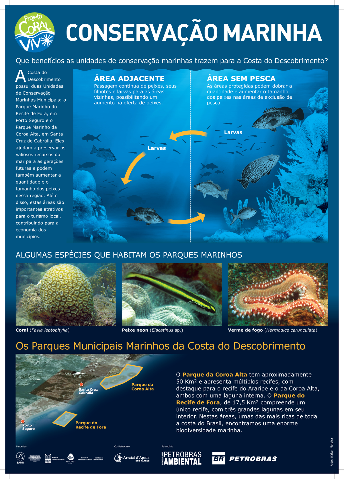 Conservacao-Marinha-Na-Costa-Do-Descobrimento V2 - Bacharelado em ...