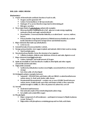 Lymphatic System 2 - ANATOMY AND PHYSIOLOGY The Lymphatic System ...