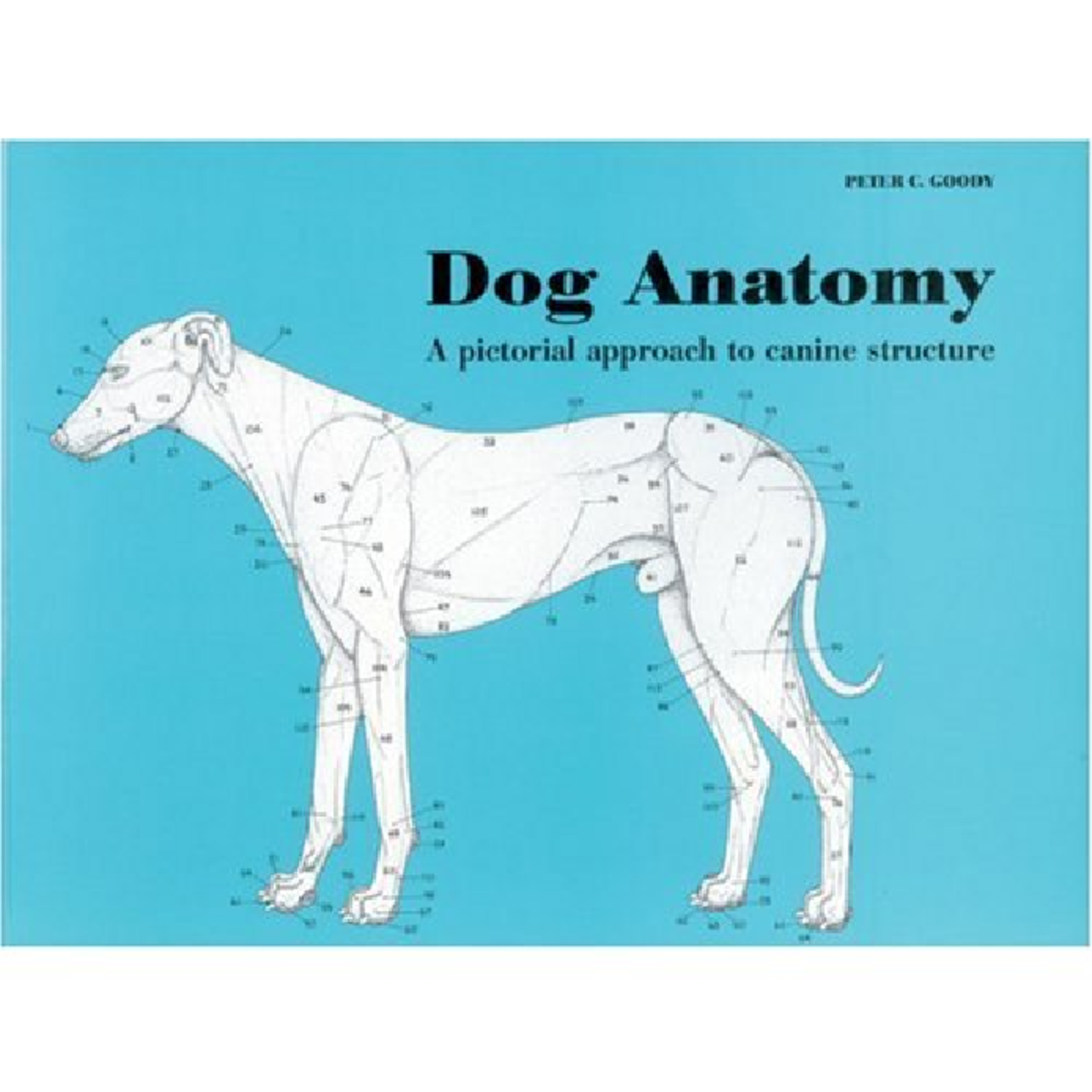 Dog's Anatomy - material de estudio - PETER C. GOODY B. M(Ed). Ph ...