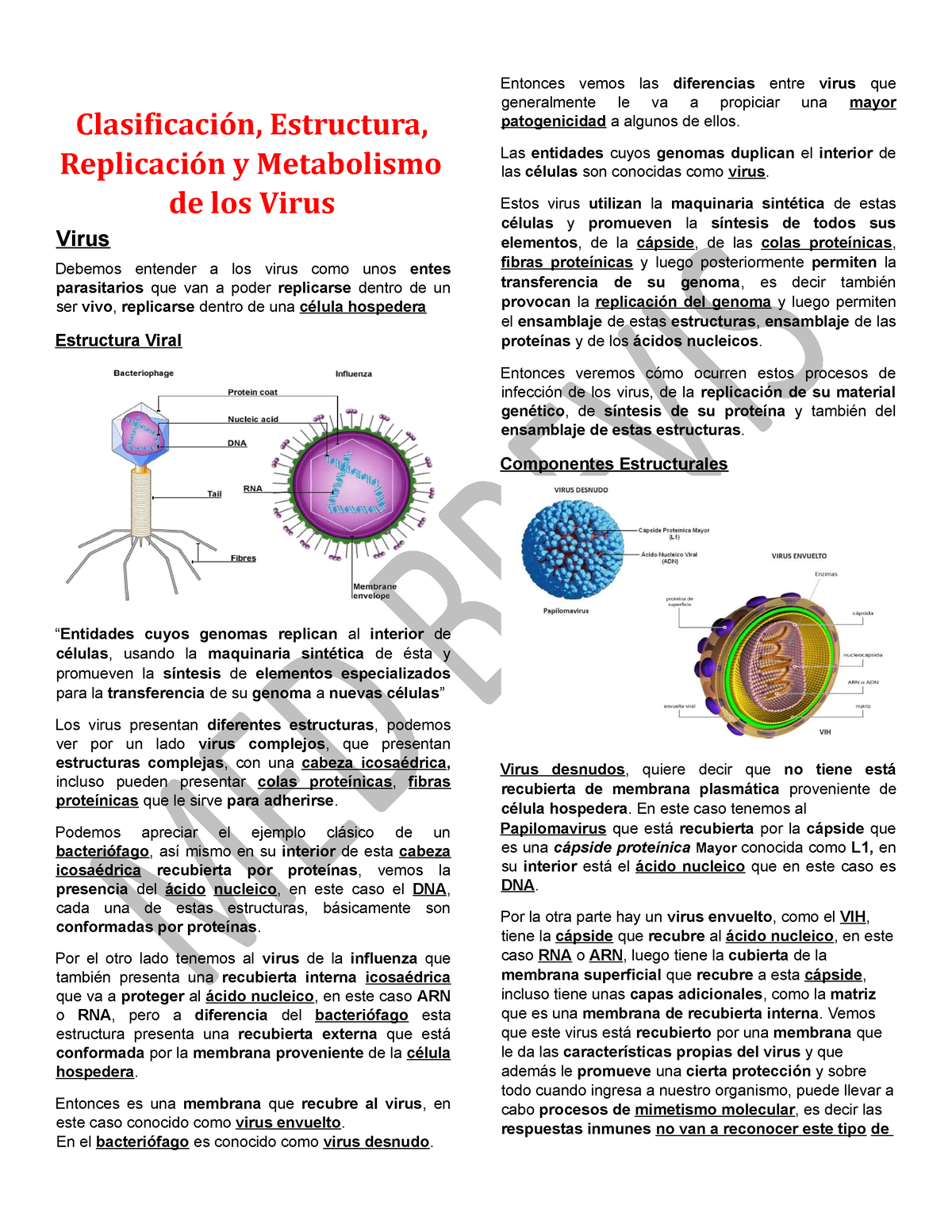 Gratis 3. Virus - Clasificación, Estructura, Replicación Y Metabolismo ...