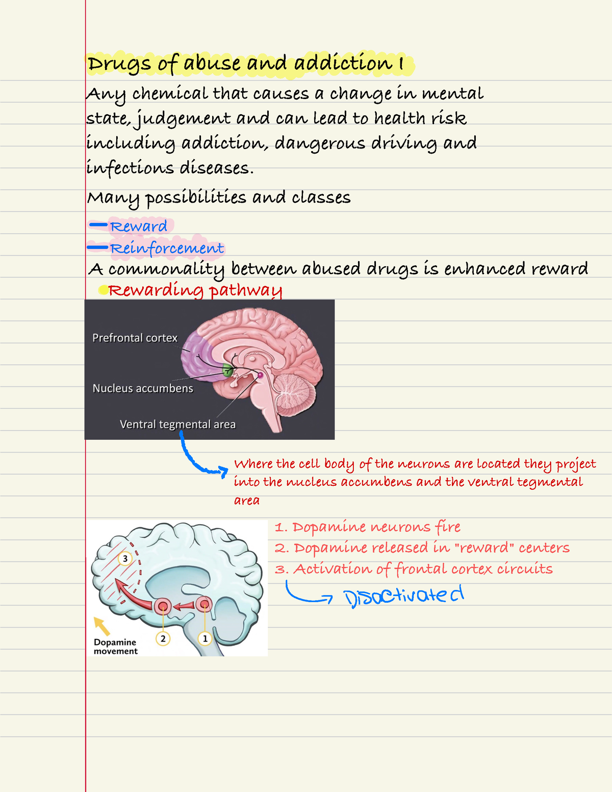 chapter-7-lecture-7-notes-drugs-of-abuse-and-addiction-i-any