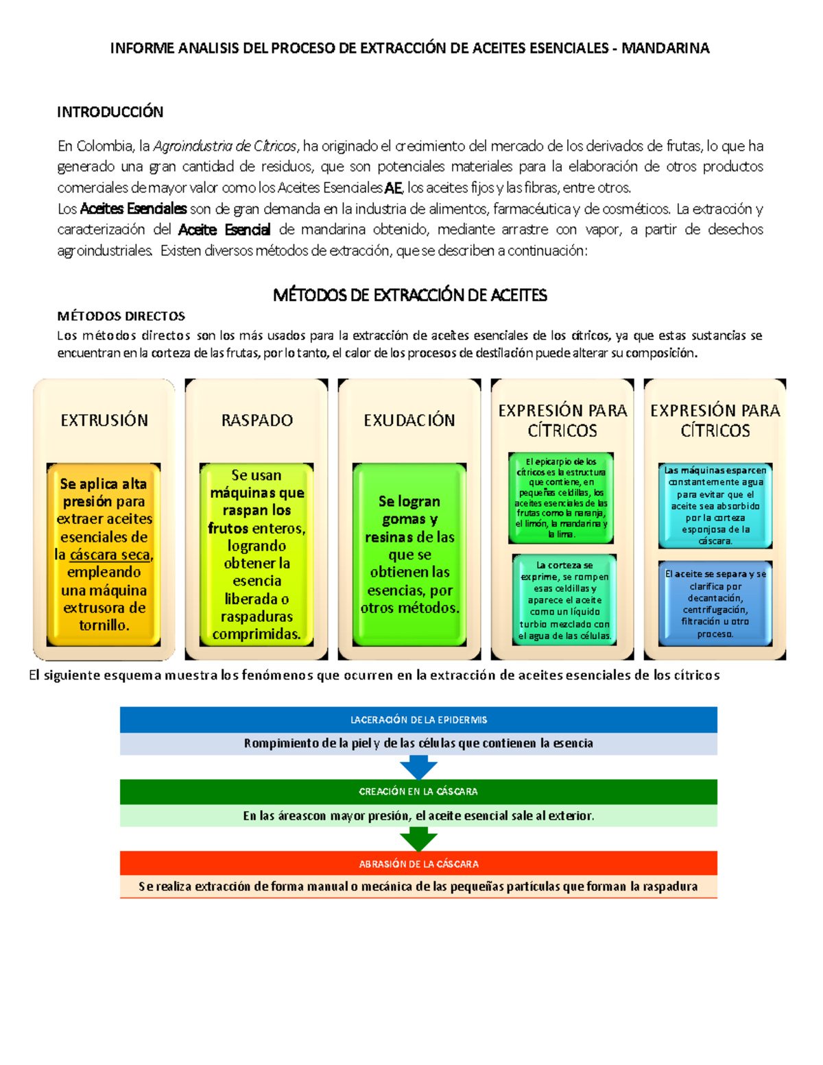 Informe Elaboracion Aceite Mandarina - INFORME ANALISIS DEL PROCESO DE ...