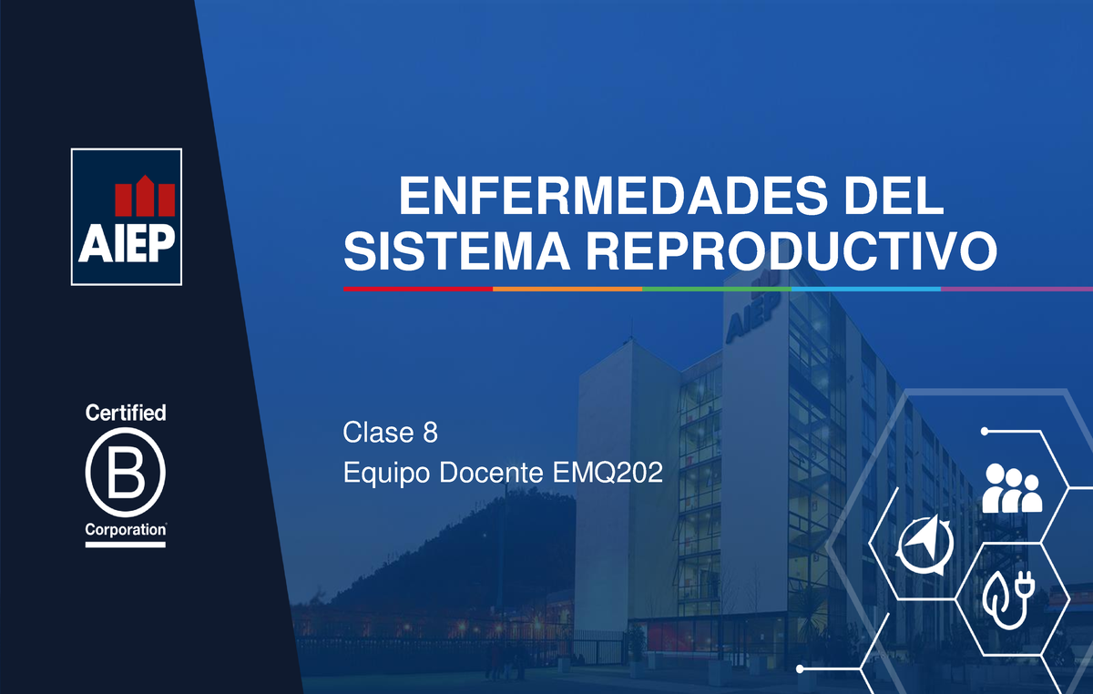 9ª Clase Patologías Del Sistema Reproductor - ENFERMEDADES DEL SISTEMA ...