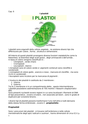 Gli elementi della genetica. Genetica. Il citoplasma di morire. A pochi  (troppo pochi per mostrare nello schema di Fig. 41) Anche contengono  plastidi di entrambi i generi e produrre piante che