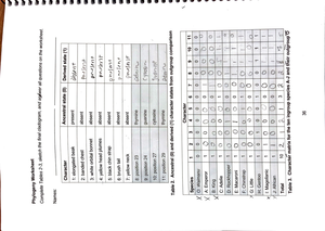 EXAM 1 Evolution - ####### evolution evolution changeover time We refer ...