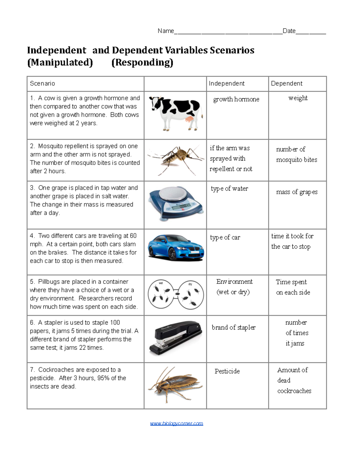 Identifying Independent And Dependent Variables Worksheet With Answer Key Pdf