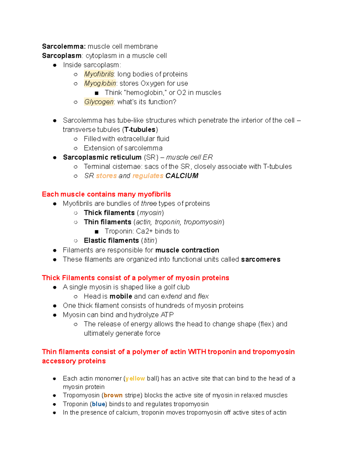 Bio23 exam 4 Sarcolemma muscle cell membrane Sarcoplasm cytoplasm in a muscle cell Inside