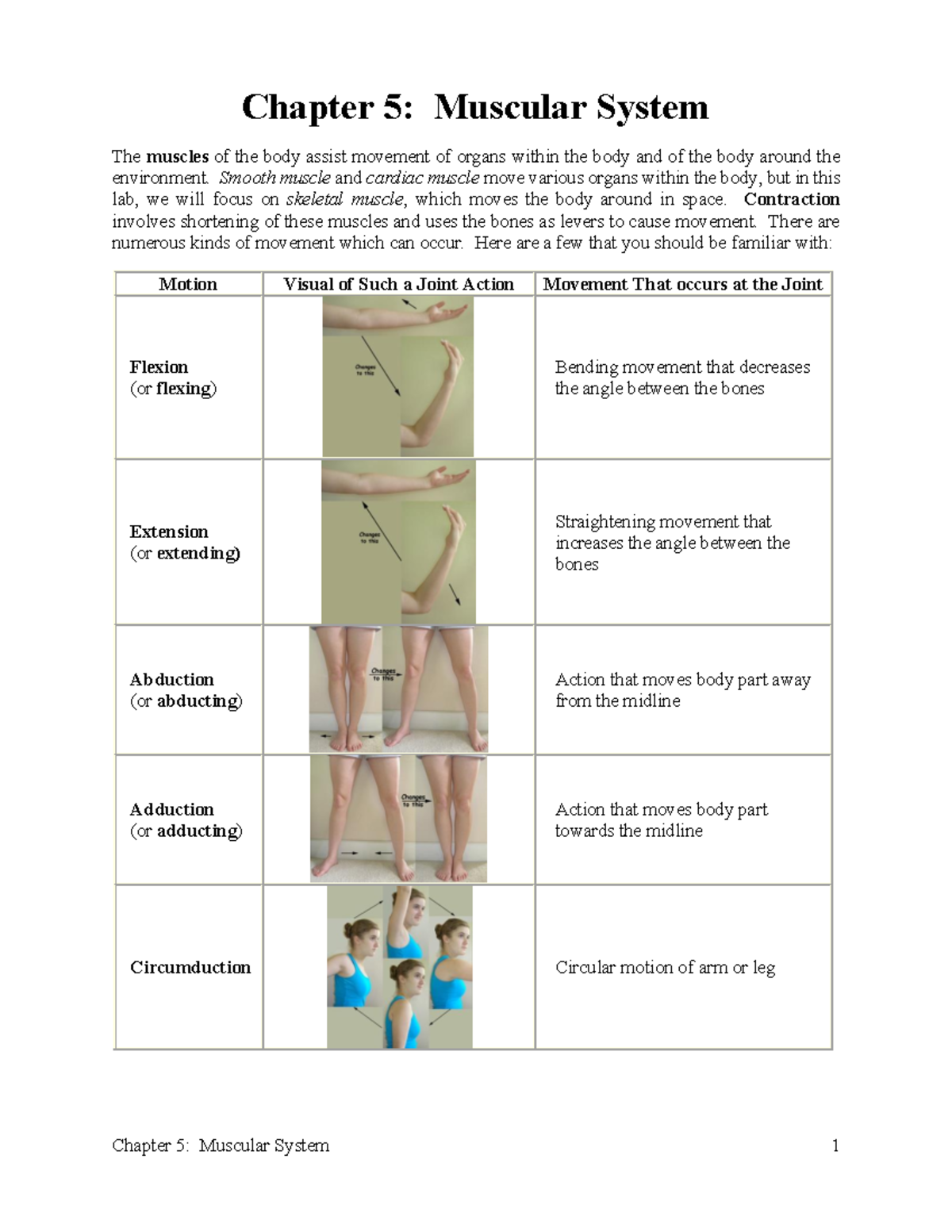 5-152 Muscles 2022 - Chapter 5: Muscular System The muscles of the body ...