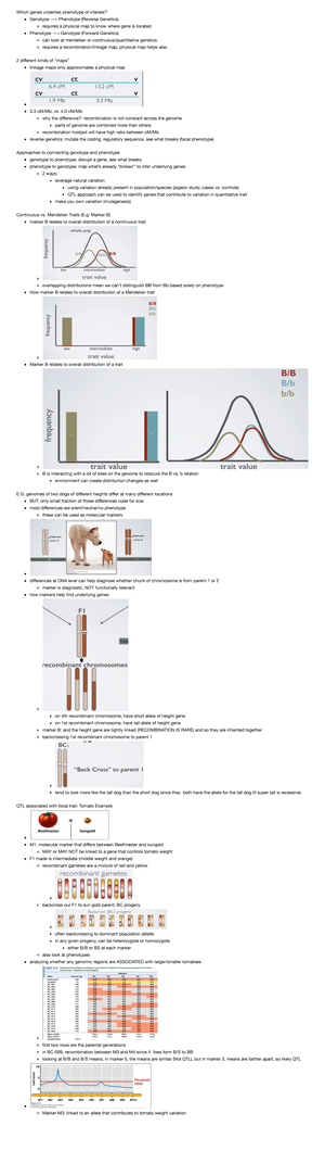 3b In-Lab Assignment Copper Cycle - Copper Cycle Lab Assignment Data ...