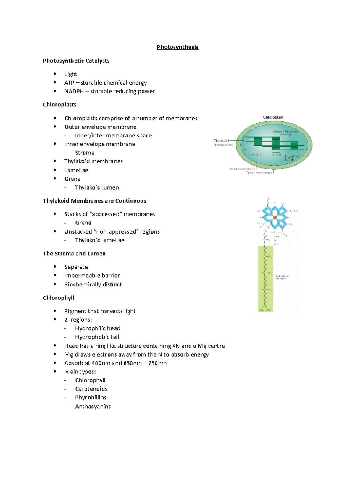 Photosynthesis - Lecture notes 1 - Photosynthesis Photosynthetic ...