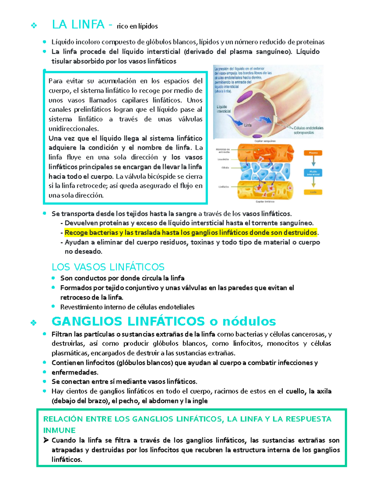Sangre y sistema inmunológico - LA LINFA - rico en lípidos Líquido ...