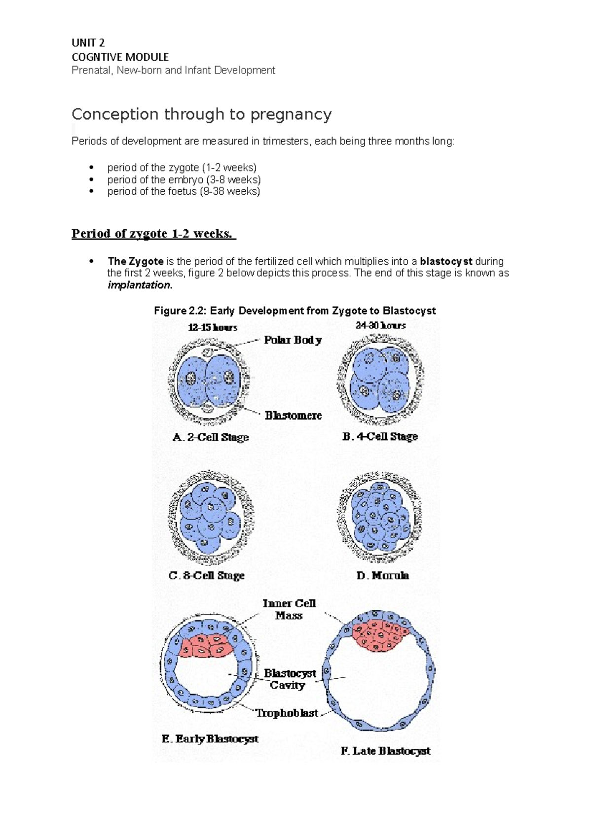 UNIT 2 Prenatal devel - Lecture notes 2 - Derby - Studocu