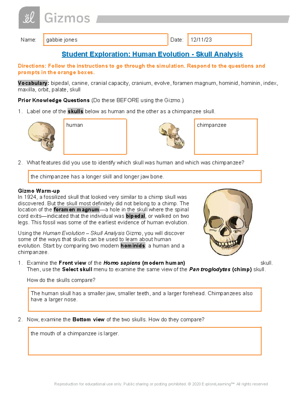 Gabrielle Jones - Copy of Human Evolution SE - Name: gabbie jones Date ...