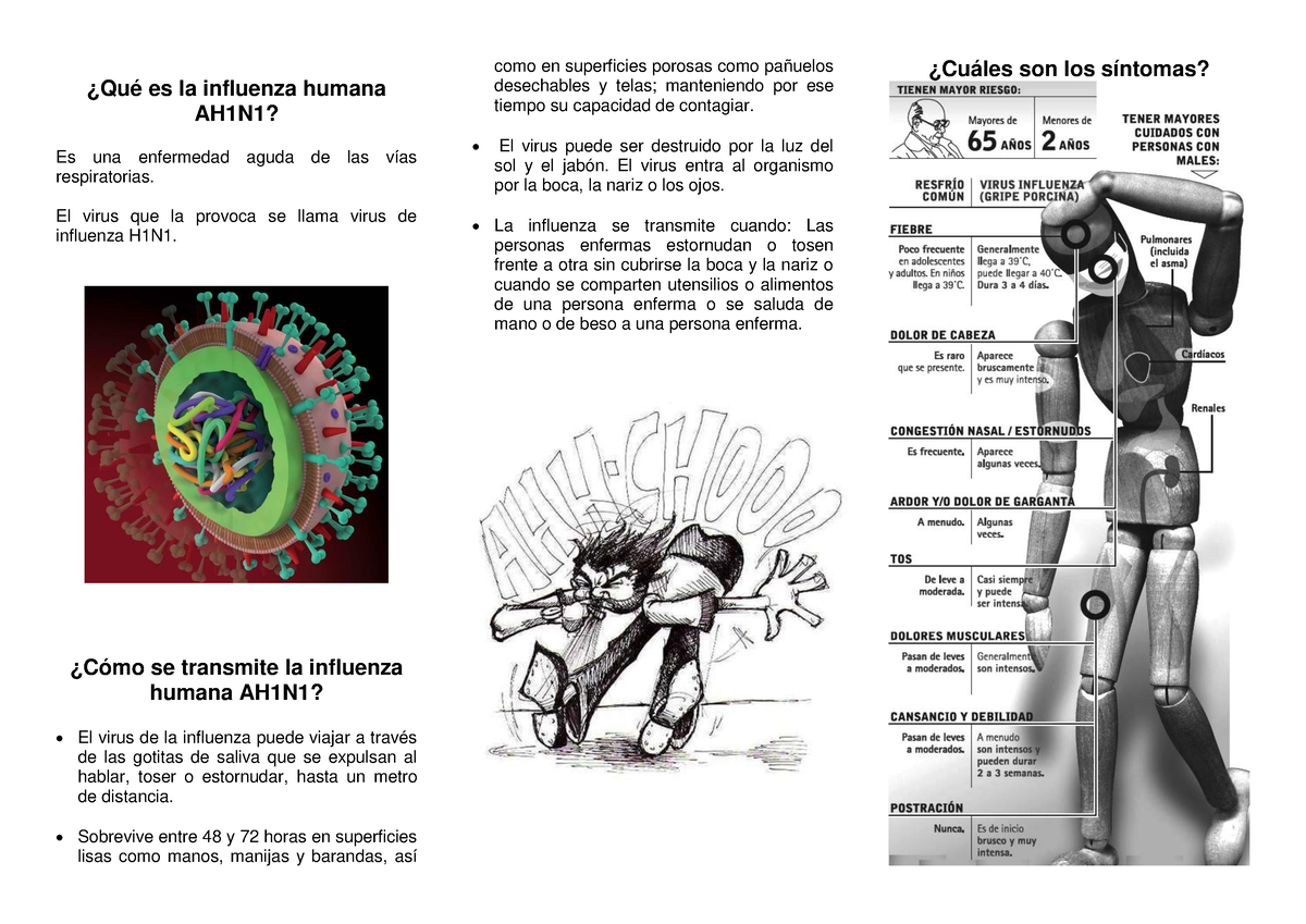 Triptico Influenza Humana Ah1n1 ¿qué Es La Influenza Humana Ah1n1 Es