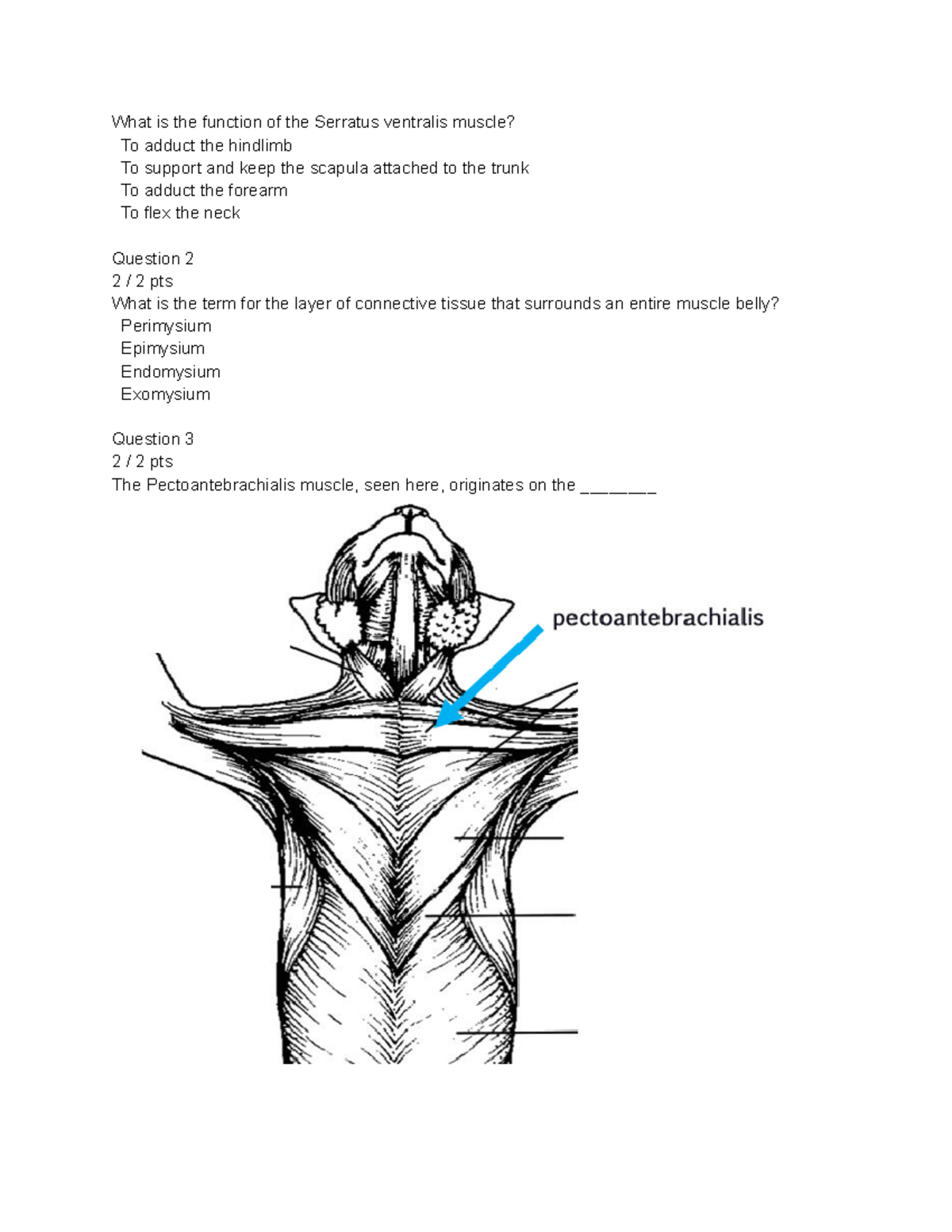 quiz-another-quiz-used-to-study-from-for-the-final-what-is-the